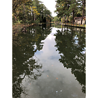 York/Poquoson King Tide image